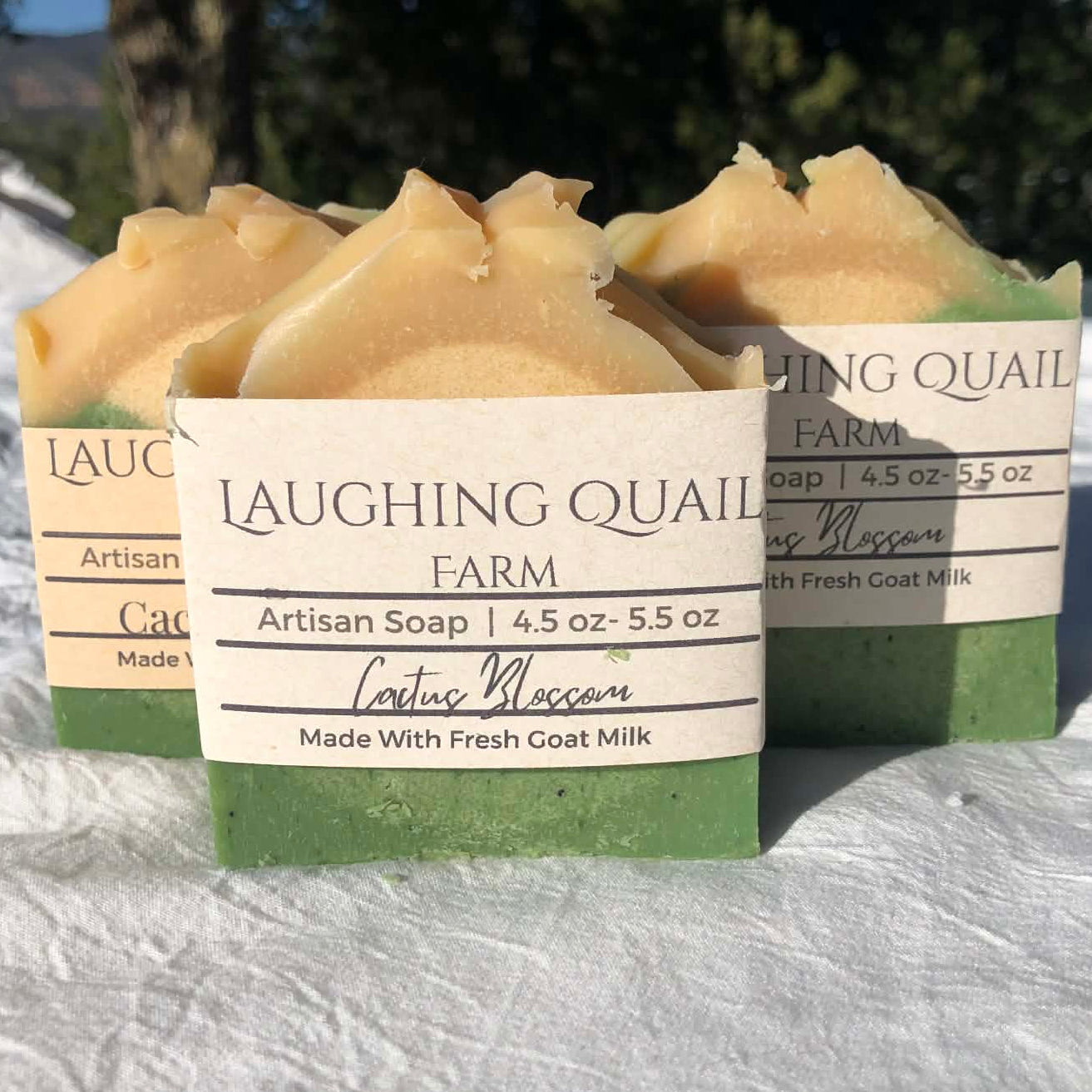 Cactus Blossom Goat's Milk Soap