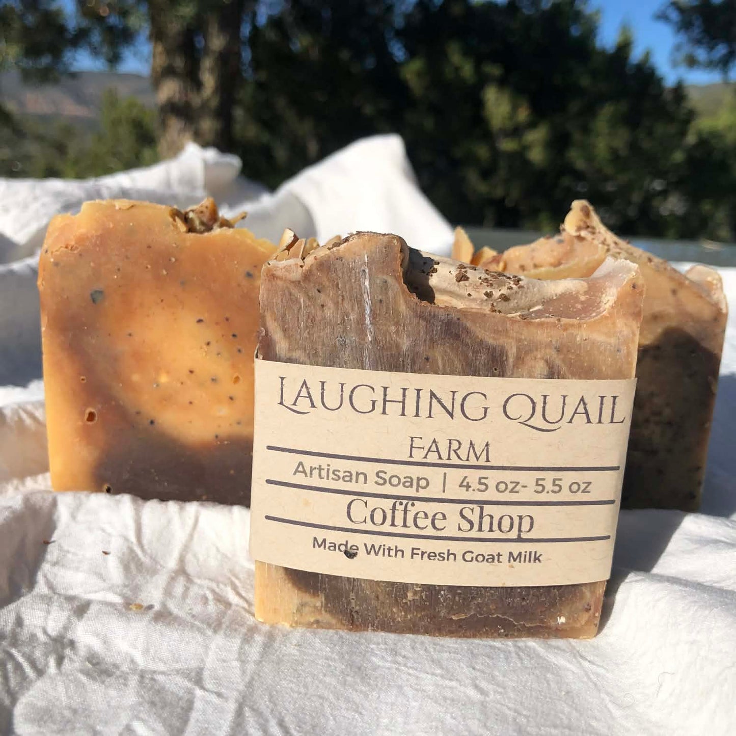 Vanilla Coffee Shop Goat's Milk Soap