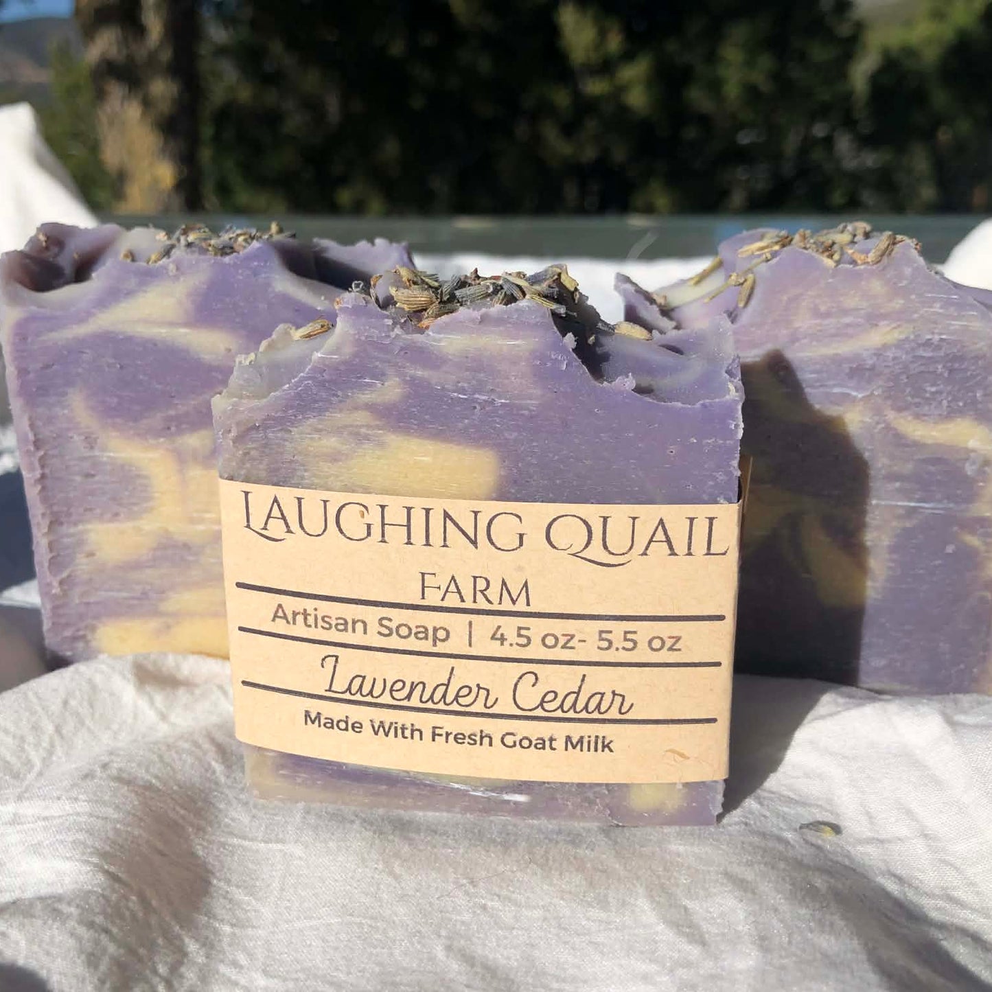 Lavender Cedar Goat's Milk Soap