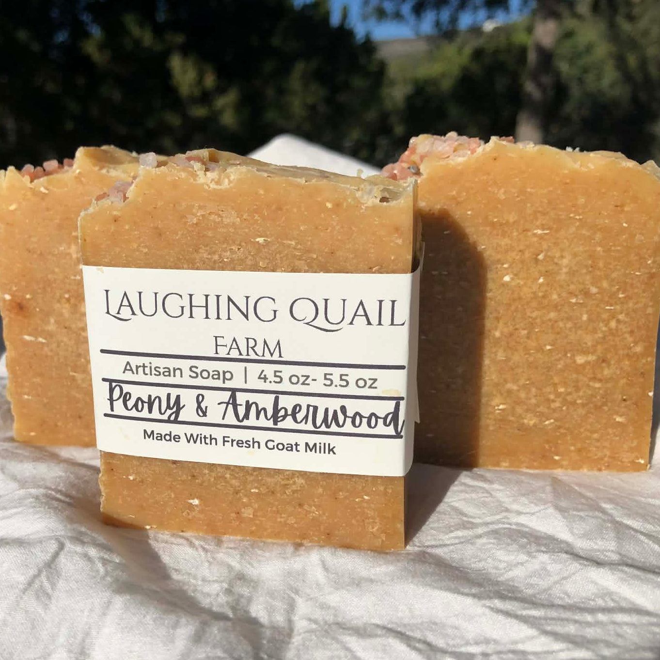 Peony & Amberwood Goat's Milk Soap