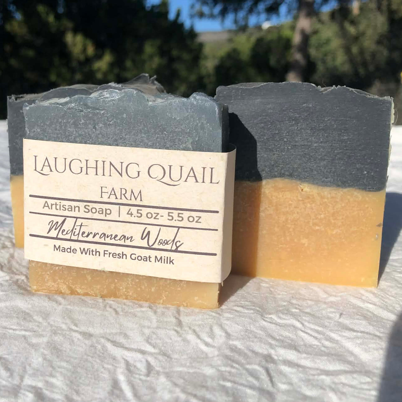 Mediterranean Woods Goat Milk Soap